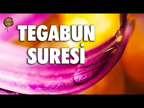 O gün kimin aldandığının açığa çıkacağı gündür | Tegabun Suresi - Ali Turan