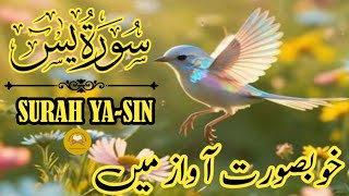 Surah Ya Sin | سورہ یس | Best Quran Tilawat #quranrecitation #surahyasin #youtube #viralvideo