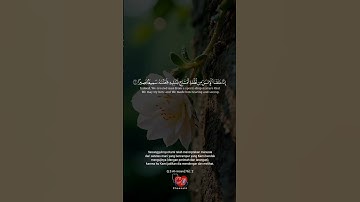 تلاوة خاشعة لسورة الإنسان ١-٢ بصوت القارئ عثمان مشعل الحداد || makna surah AL-insan 1-2🌿📖❤️