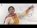 Upper and Lower Motor Neuron Lesions- Dr Aparna Gupta