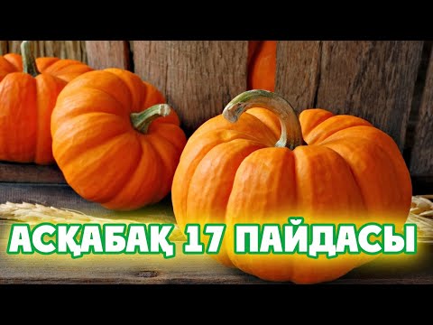 Бейне: Асқабақ панасы