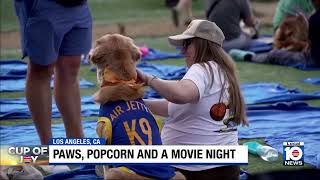 Dozens of dogs, owners gather to watch 1997 hit ‘Air Bud’