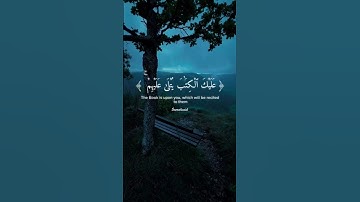 #سورة_العنكبوت #سعد_الغامدي