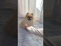 何回連続で出来るかな?