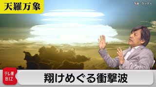 観測装置は見逃さない　翔けめぐる衝撃波【久保田解説委員の天羅万象】(50)（2021年10月29日）