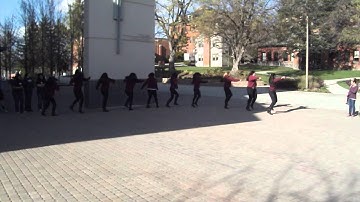 Lambda Theta Alpha, Delta Eta Chapter Salute and Stroll