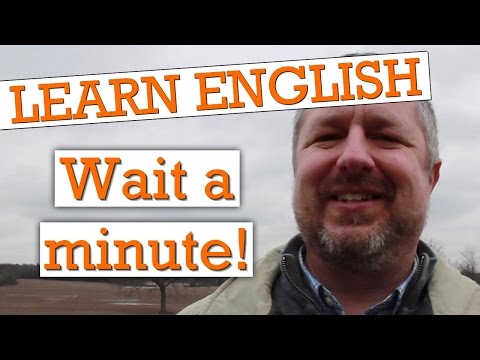 Video: Wat is wag Engels?
