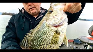 A Bait That HUGE Crappie Can't Resist ! (17" MEGA Crappie Catch)