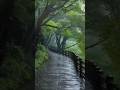 📍feel this beautiful nature 4k📍#nature #shorts #travel #asthetic #adventure #viral #4k #world