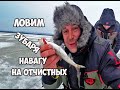 РЫБАЛКА.ЛОВИМ НАВАГУ,КАМБАЛУ,ЗУБАРЯ НА ОТЧИСТНЫХ СООРУЖЕНИЯХ