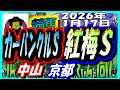 2026年1月17日【競馬 JRA全レース予想ライブ】カーバンクルS。中山、京都