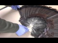 Taxidermy Tips: How to mount a turkey tail fan and beard panel Episode #4