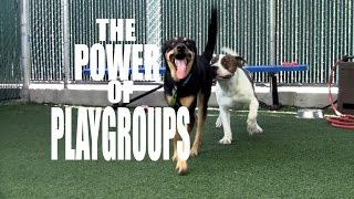 THE POWER OF PLAYGROUPS
