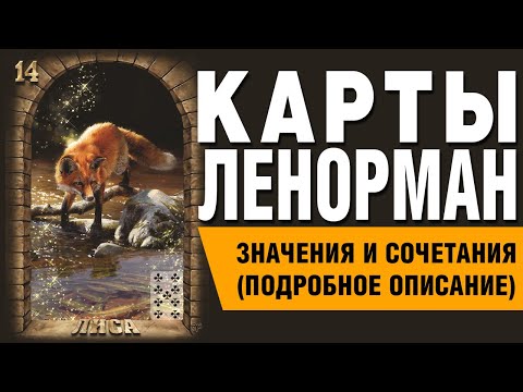 Карты Ленорман. Карта Лиса (14). Значения и сочетания карт.