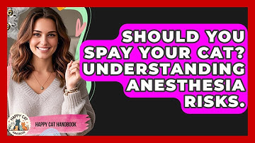 Should You Spay Your Cat? Understanding Anesthesia Risks. - Happy Cat Handbook