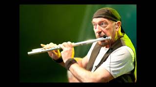 Jethro Tull - Undressed to kill ( my cover version )