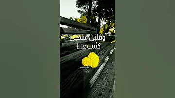 تمر ببالي كطيف جميل 