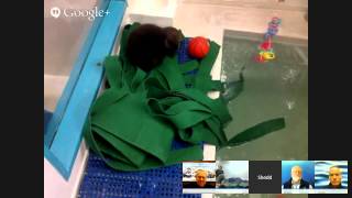 Tune In: Poolside with Sea Otter Pup 681
