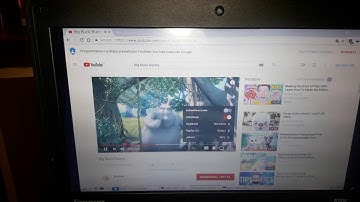 Linux Deploy Android Debian video via VNC and USB 2.0 360p works fine on galaxy xcover4