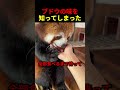 ブドウの味を知ってしまった