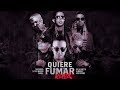 Quiere Fumar Remix - Nio Garcia, Darell, Casper, Almighty, De La Ghetto, Miky Woodz