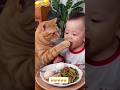 Cat tum mere bacho ko khana khila rhi ho😂😂#cat #comedy #funny #shorts #shortsfeed #trendingshorts
