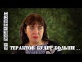 Терактов будет больше #ЕленаРохлина