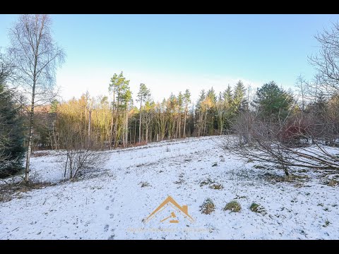 Video Description