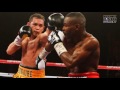 Las carreras de boxeo más afectadas por derrotas en el año 2013
