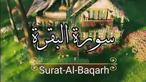 ما تيسر من سورة البقرة للقارئ  عبدالرحمن مسعد  Surat Al Baqarah