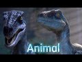 Jurassic world camp certaceous  blue tribute  animal