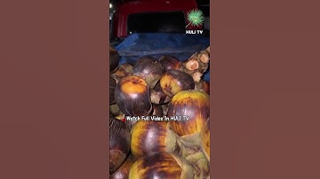 Viral awal tahun 500 buah lontar siap diantar sampai tujuan #shorts