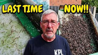 **Koi Filter Worms Are BACK… And WORSE Than Before! 😱 Can You Help Me**