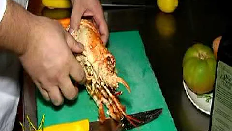 Quanto costa un aragosta prezzo?