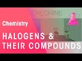 Halogens & Their Compounds | Properties of Matter | Chemistry | FuseSchool