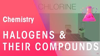 Halogens & Their Compounds | Properties of Matter | Chemistry | FuseSchool