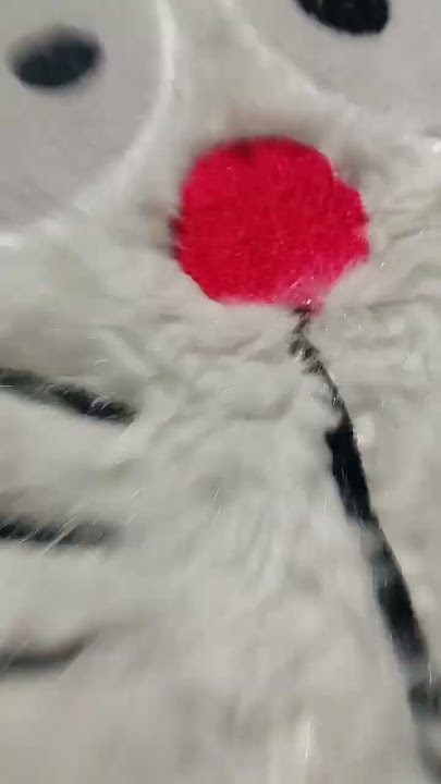 chipi chipi chapa chapa dubi dubi daba daba aci koci dubi dubi boom boom boom