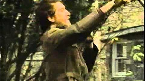 Quasha / Stein segment from Ripley