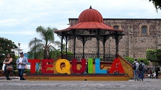 Vive Vallarta - Episodio 41 (Tequila, Jalisco. Pueblo Mágico)