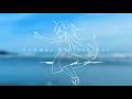 【MV】Summer Bit Crusher