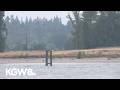 One dead, four hurt in Willamette River boat crash near Sauvie Island