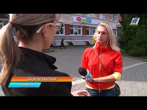 У Тернополі знову розцвіли каштани