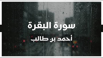 سورة البقرة احمد بن طالب الحميد بدون اعلانات#سورة_البقرة #المسجد_النبوي #اكسبلورر #explore #quran