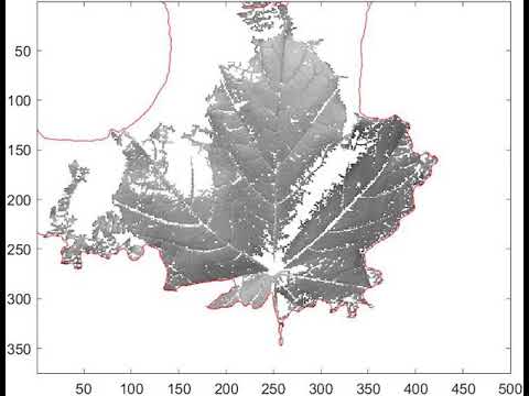 My First Level Set Segmentation