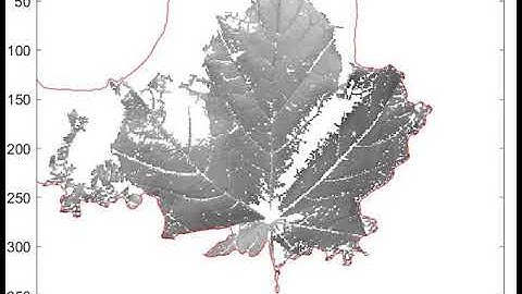 My First Level Set Segmentation