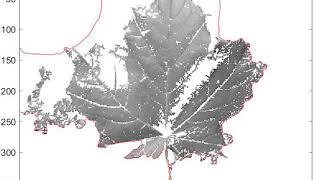 My First Level Set Segmentation