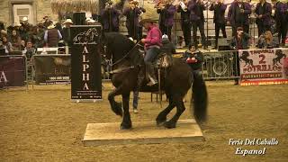 Concuroso Del Caballo Bailadores