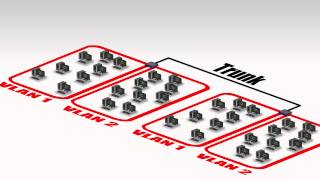 Total Seminars Video Training - VLANs