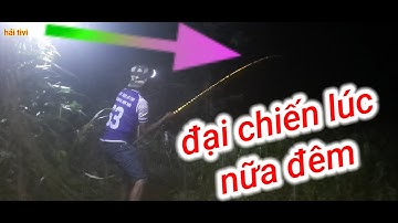 Câu cá tra sông//cá ăn mạnh lúc nữa đêm khuy và những pha cá ăn rất hôi hơp