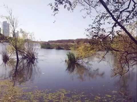 Contaminación en el Río de La Plata